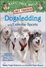 Dogsledding and extreme sports: balto of the blue dawn