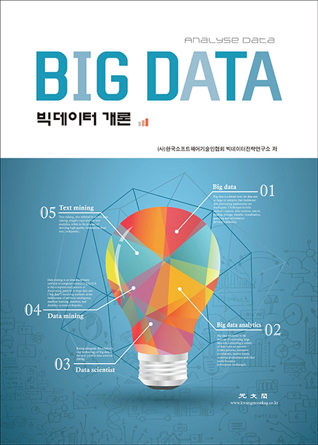 빅데이터 개론 = Analyse data big data
