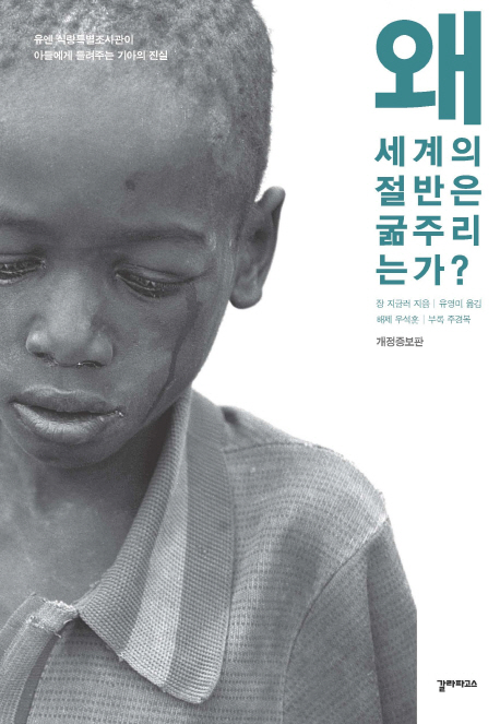 왜 세계의 절반은 굶주리는가?  : 유엔 식량특별조사관이 아들에게 들려주는 기아의 진실