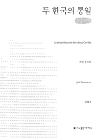 두 한국의 통일 : 큰글씨책 표지이미지
