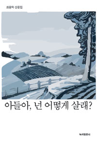 아들아, 넌 어떻게 살래?  : 최용탁 산문집