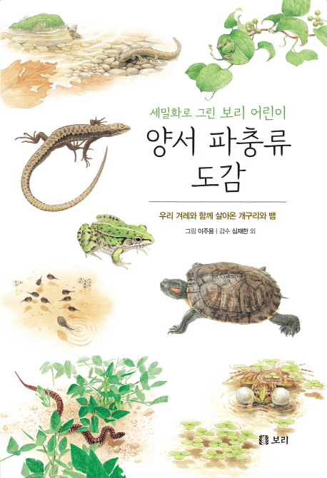 (세밀화로그린보리어린이)양서파충류도감:우리겨레와함께살아온개구리와뱀:보급판