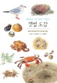 (세밀화로 그린 보리 어린이) 갯벌 도감: 동해 서해 남해 바닷가 동식물 179종