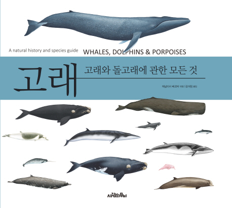 고래 :고래와 돌고래에 관한 모든 것 