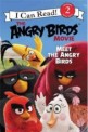 The Angry Birds Movie: Meet the Angry Birds (Paperback)