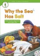 Why the sea has salt 