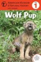 Wolf Pup (Hardcover) - Level 1