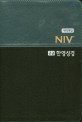 (개역개정)NIV 큰글 한영성경