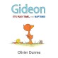 Gideon: It's Play Time, Not Naptime! (Board Books)