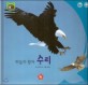 호기심 오감 자연관찰 20 하늘의 왕자 수리 (날개 있는 동물)