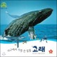 (지구에서 가장 큰 동물) 고래 