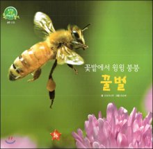 (꽃밭에서윙윙붕붕)꿀벌