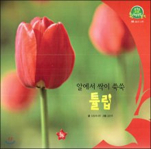 (알에서싹이쑥쑥)튤립