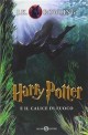 Harry Potter e il calice di fuoco. 4