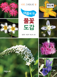 (여름에 핀) 풀꽃도감 : 자연 그대로의 꽃