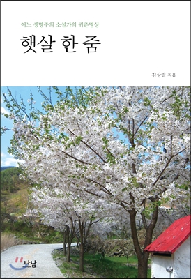 햇살 한 줌