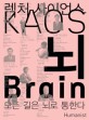 <span>뇌</span> = Brain