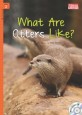 What Are Otters Like?