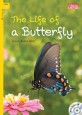 The Life of a Butterfly