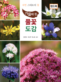 가을에 핀 풀꽃도감 : 자연 그대로의 꽃 표지이미지