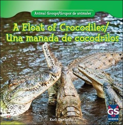 Una manada de crocodrilos