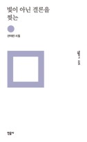 빛이 아닌 결론을 찢는 : 안미린 시집  표지이미지