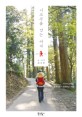 시코쿠를 걷는 여자 :시코쿠 순례길, 혼자이면서 함께하는 여행 