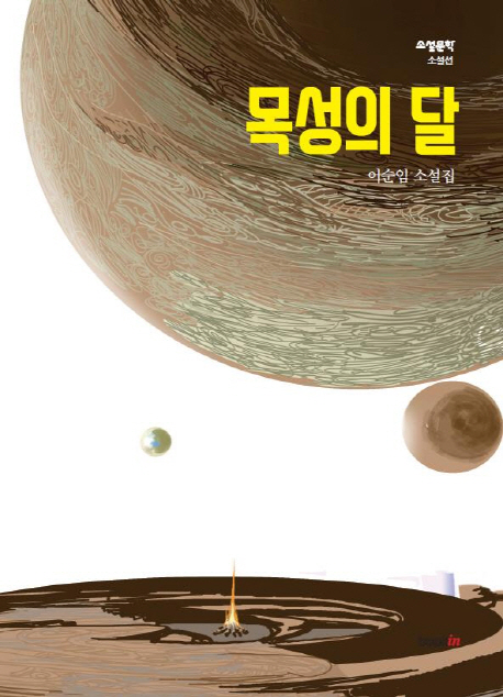 목성의 달 : 이순임 소설집