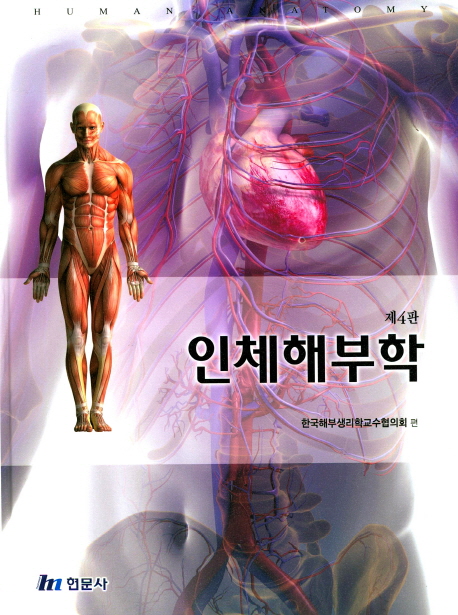 인체해부학