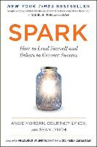 Spark how to lead yourself and others to greater success