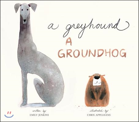 (A)Greyhound, a groundhog