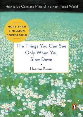 (The)things you can see only when you slow down : how to be calm and mindful in a fast-paced world