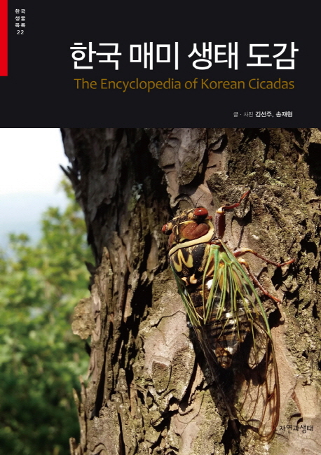 한국 매미 생태 도감 = (The)Encyclopedia of Korean cicadas