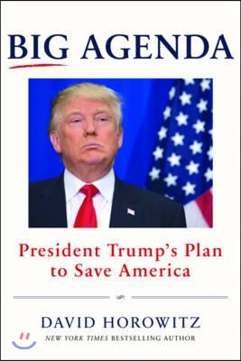 Big agenda : President Trump's plan to change America