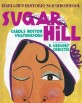 Sugar Hill : Harlems Historic Neighborhood