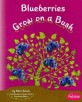 Blueberries Grow on a Bush (Paperback)