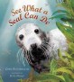 See What a Seal Can Do