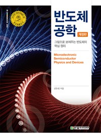 반도체 공학 : 그림으로 보여주는 반도체의 핵심 원리