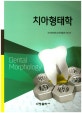 치아 형태학