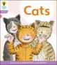 Cats 표지