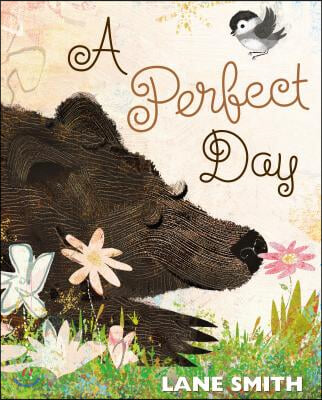 (A)Perfect day