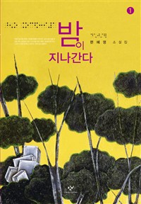 [큰글자책]밤이지나간다:편혜영소설집.1