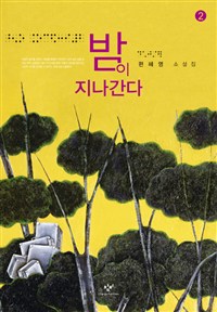 [큰글씨책]밤이지나간다:편혜영소설집.2