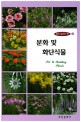 분화 및 화단식물 = Pot ＆ bedding plants