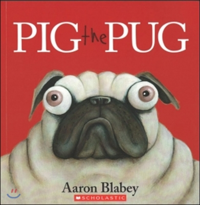 Pig the pug