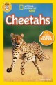 Cheetahs (Cheetahs)