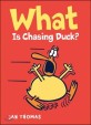What is chasing Duck?