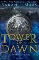 Tower of Dawn (Hardcover)