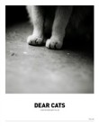 디어(Dear) 이미지