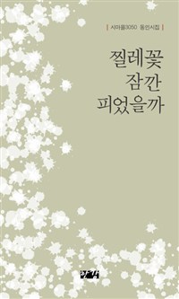 찔레꽃 잠깐 피었을까